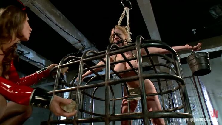 [WhippedAss] - Strap-on BDSM Lesbians: Ariel X and Dee Williams Anal Battle - Dee Williams - Ariel Carmine