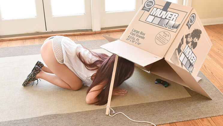 [ExxxtraSmall] - Elle Voneva: Tiny Thief - Elle Voneva