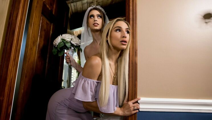 [Babes.com] - Hairy and Hungry: A Lesbian Fetish Encounter - Abella Danger - Jill Kassidy