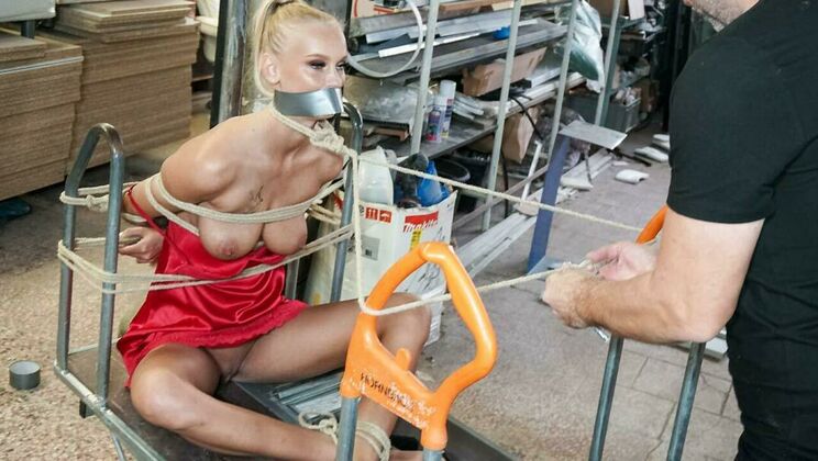 Unleashing Desire with Sex Toys