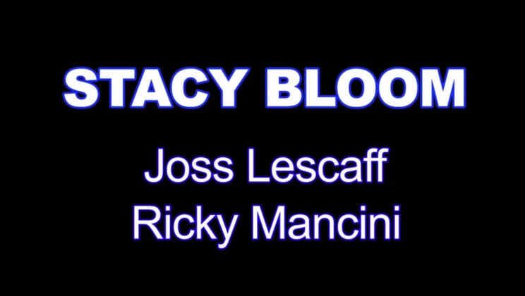 [ScenesXXXX] - Big Tits Stacy Bloom Gets DPed in Hotel - Stacy Bloom